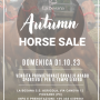 AUTUMN HORSE SALE - DOMENICA 1 OTTOBRE 2023