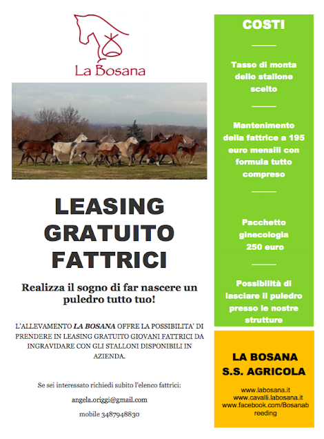 LEASING GRATUITO FATTRICI