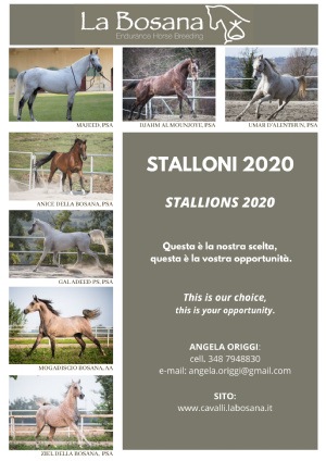 STALLONI 2020