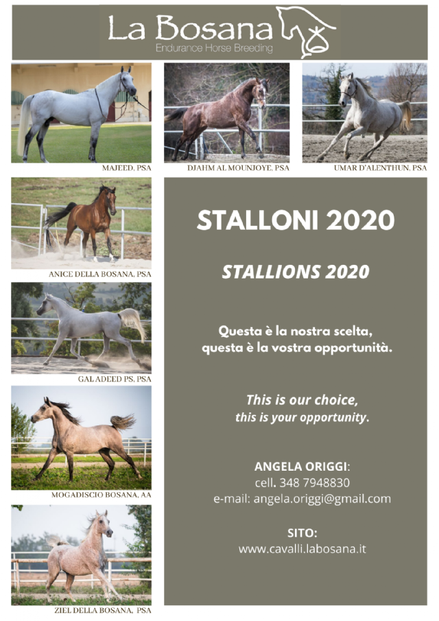 STALLONI 2020