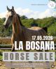 La Bosana Horse Sale