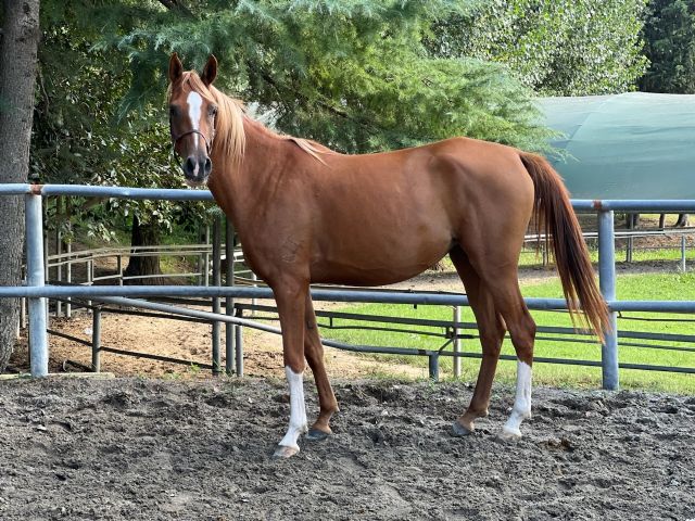 IMG 4307 2. IMG 4307 2.