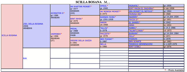 Screenshot 2025 11 21 alle 15.50.45 Screenshot 2025 11 21 alle 15.50.45