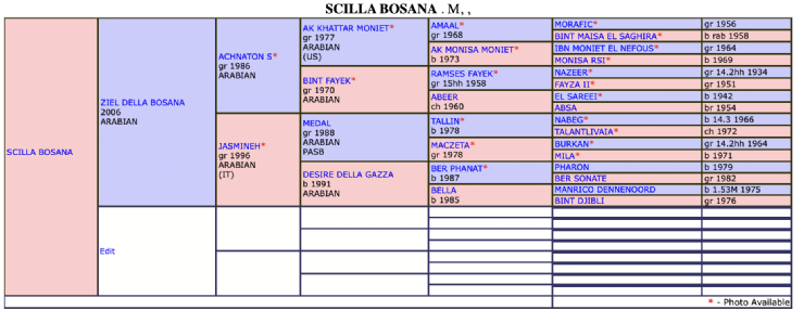 Screenshot 2025 11 21 alle 15.50.45 Screenshot 2025 11 21 alle 15.50.45
