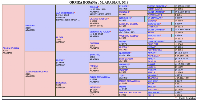 ORMEA BOSANA ORMEA BOSANA