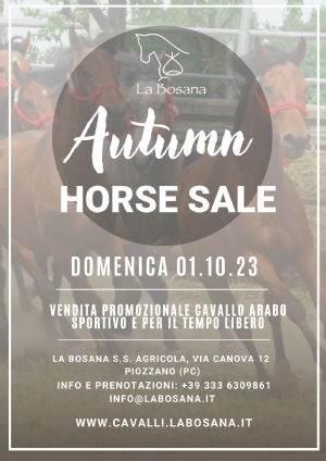 AUTUMN HORSE SALE - DOMENICA 1 OTTOBRE 2023