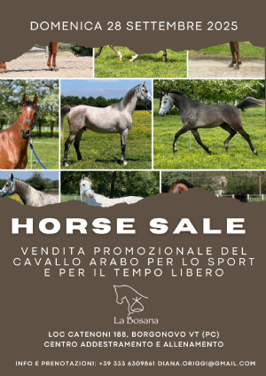 LA BOSANA HORSE SAL E