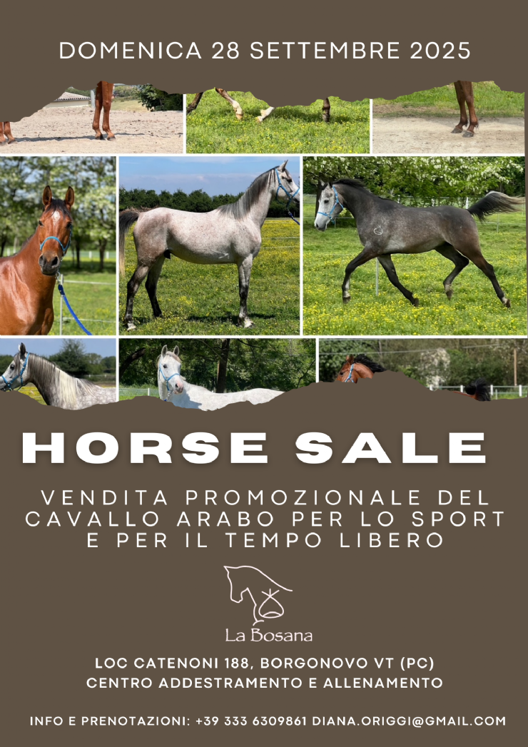 LA BOSANA HORSE SAL E