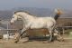 IMG 0343 copia