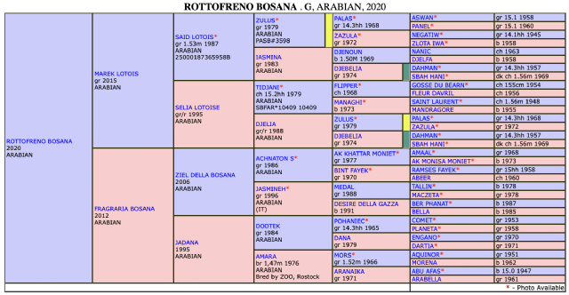 ROTTOFRENO BOSANA ROTTOFRENO BOSANA