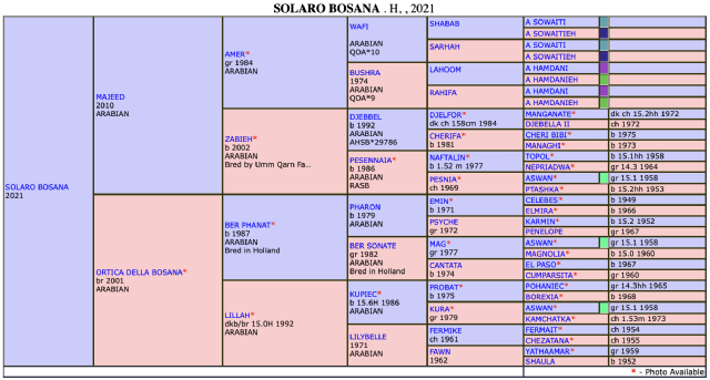 Screenshot 2025 11 21 alle 15.56.28