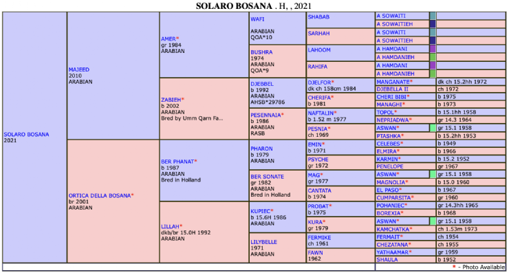 Screenshot 2025 11 21 alle 15.56.28 Screenshot 2025 11 21 alle 15.56.28